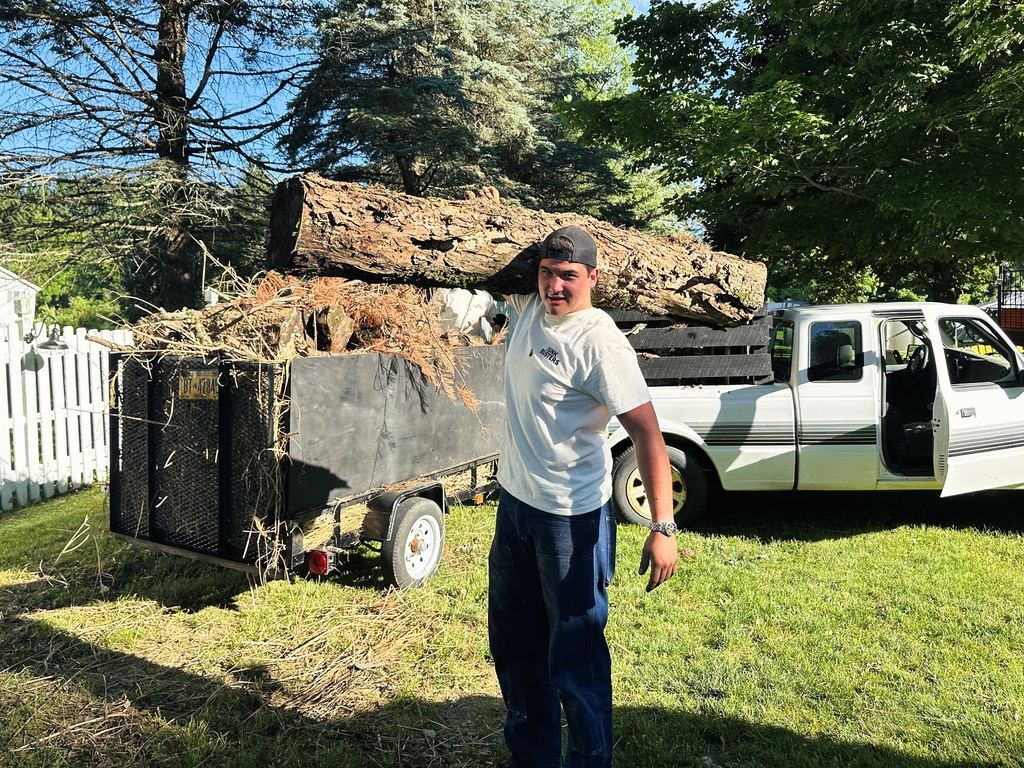 Trailer load of logs & brush