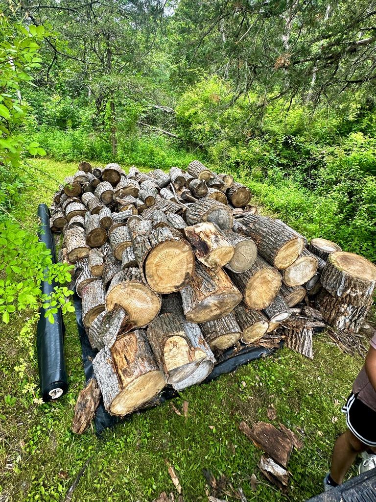 Firewood stacked and cleared